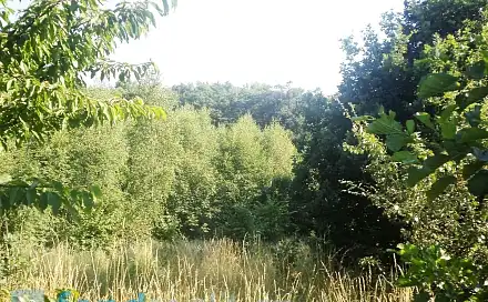 Prodej pozemku 2 629 m², Dětmarovice, okres Karviná
