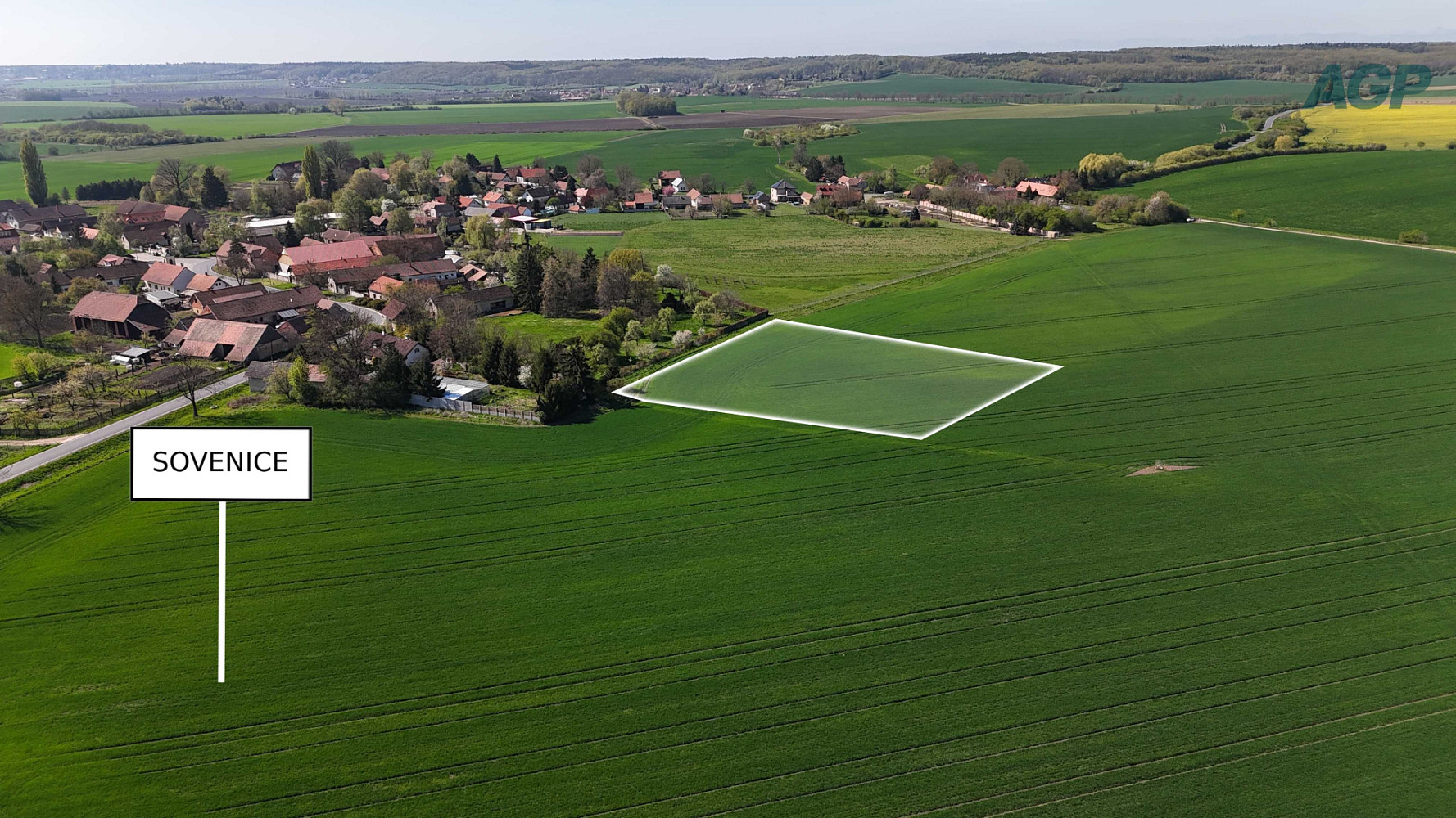 Prodej pole 3 653 m² – fotografie 5