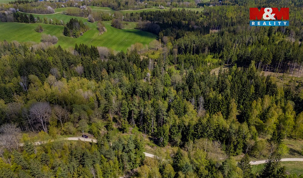 Prodej lesa 11 203 m², Železný Brod – náhled fotky 7