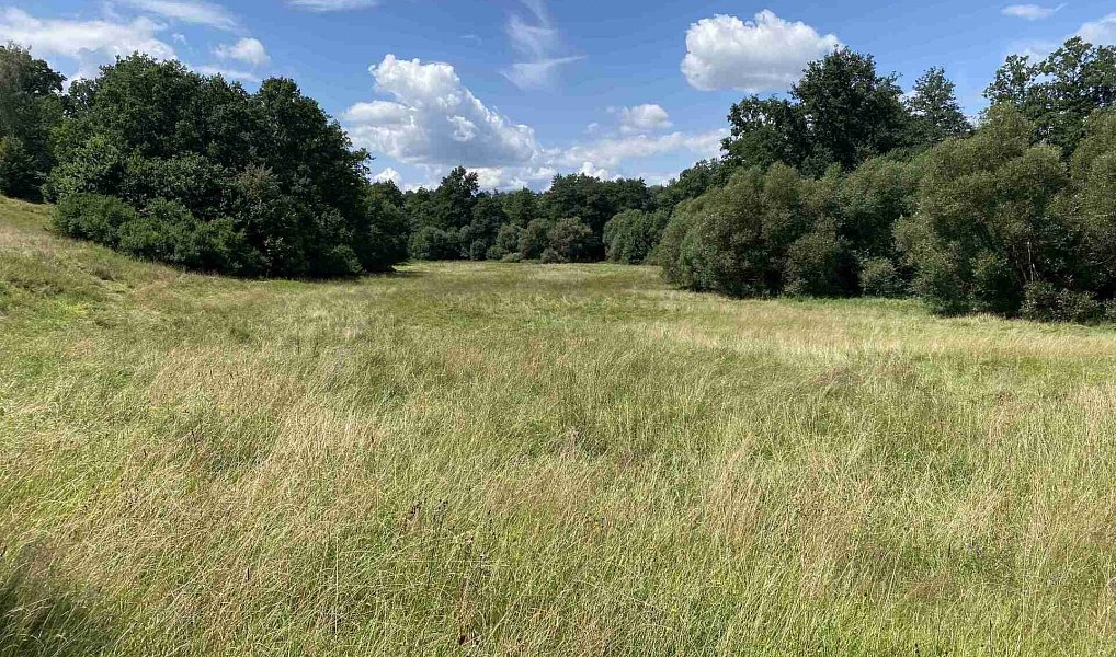 Prodej pole 55 481 m², Lhenice – náhled fotky 26