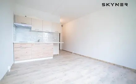 Pronájem bytu 1+kk 21 m², SNP, Ústí nad Labem - Ústí nad Labem-centrum