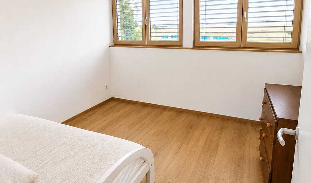 Pronájem domu 310 m² s pozemkem 2 017 m², Vendolí – náhled fotky 10