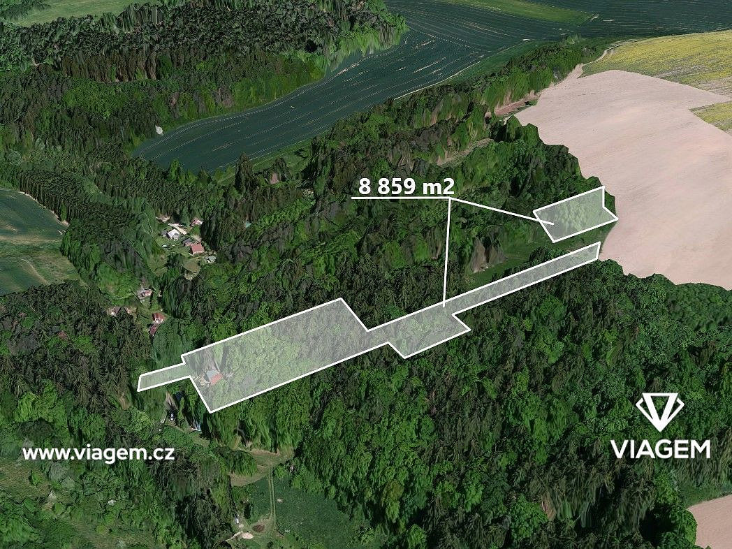 Prodej lesa 7 382 m²