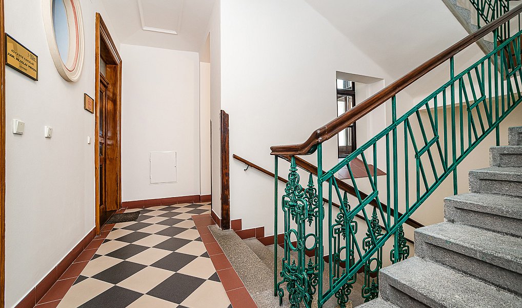 Pronájem kanceláře 65 m², Praha – náhled fotky 16