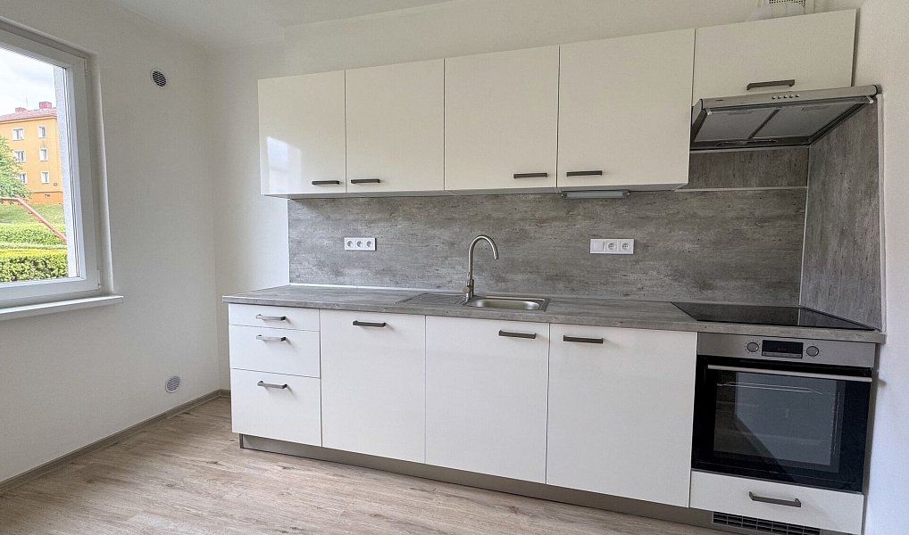 Pronájem bytu 2+1 56 m², Ostrov – náhled fotky 2