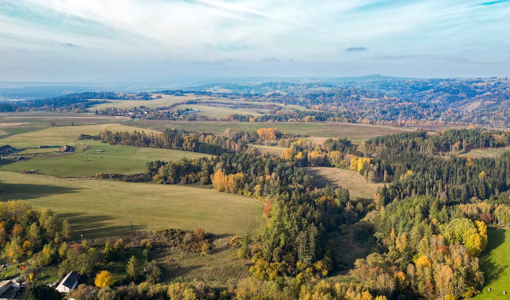 Prodej pozemku 15 970 m², Planá – náhled fotky 25