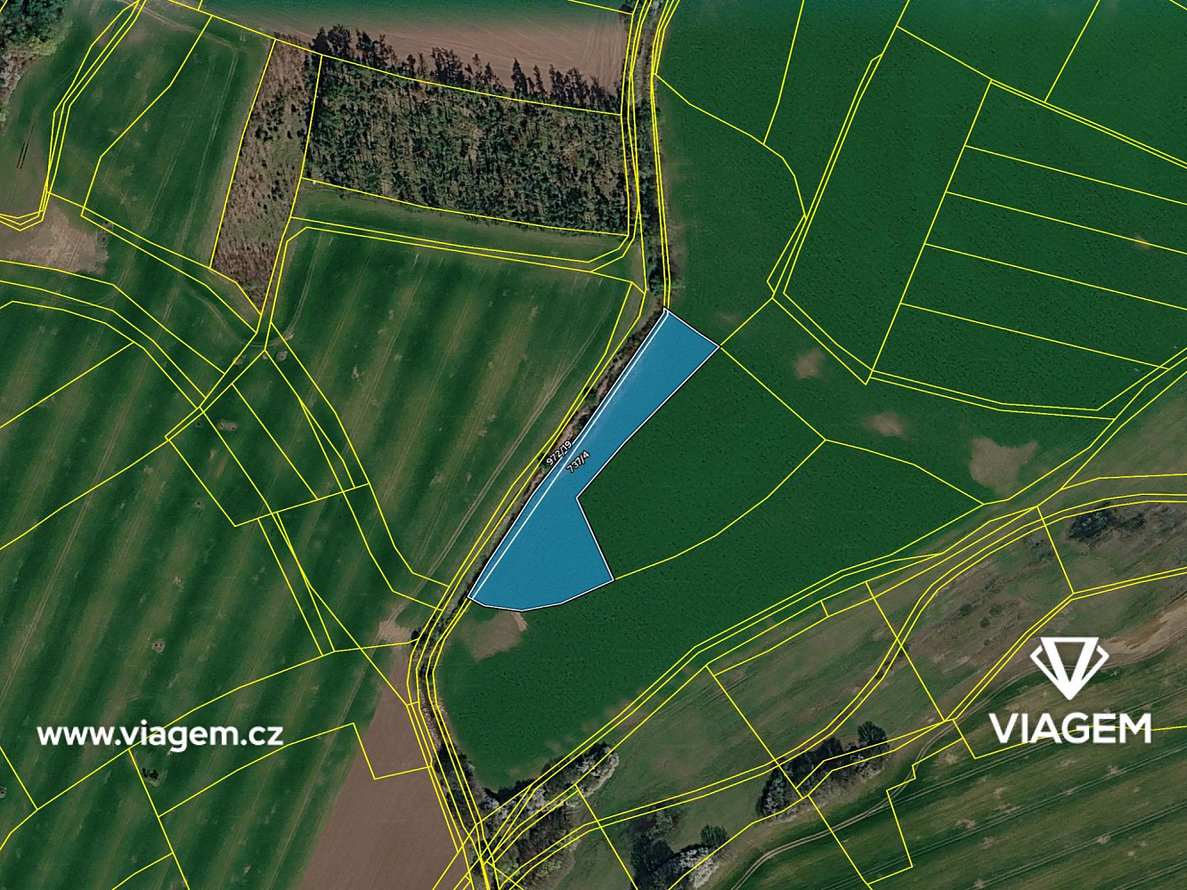 Prodej pole 6 248 m² – fotografie 4