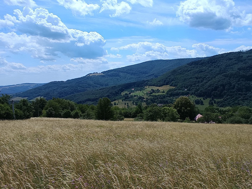 Prodej pozemku 42 844 m² – fotografie 5
