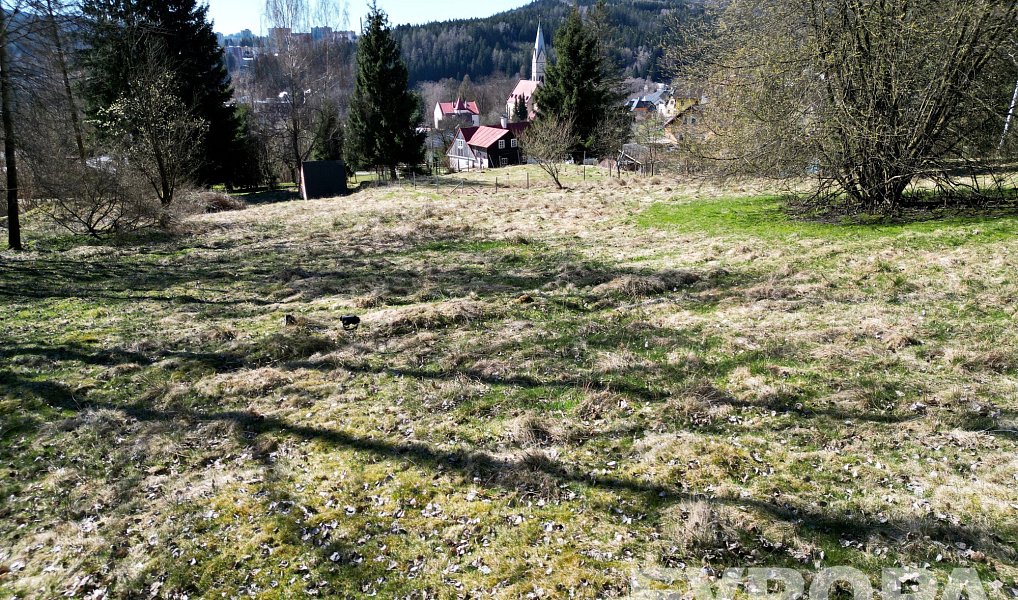Prodej stavebního pozemku 7 881 m², Tanvald – náhled fotky 4