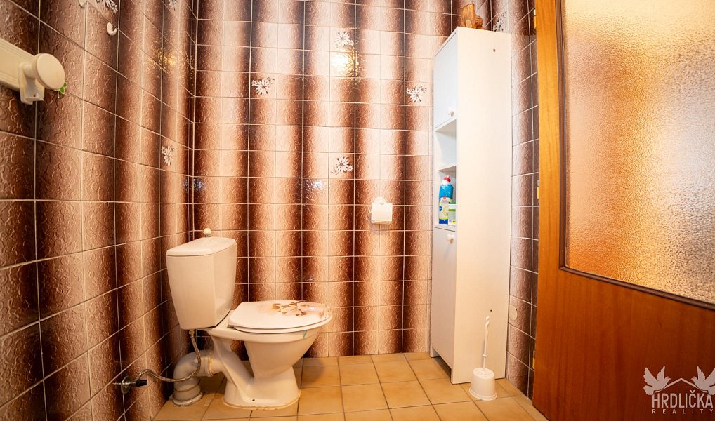 Prodej domu 160 m² s pozemkem 481 m², Vodňany – náhled fotky 23