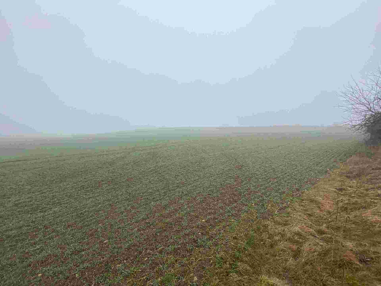 Fotka 11 z 14