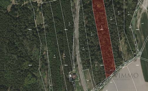 Prodej lesa 12 320 m², Borovany - Trocnov, okres České Budějovice