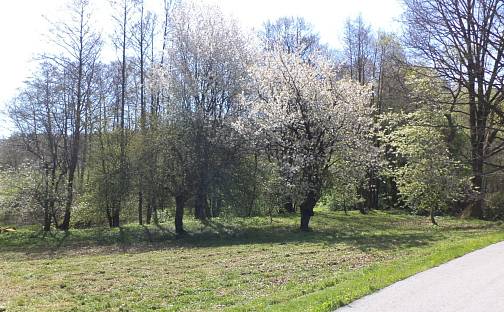 Prodej stavebního pozemku 2 542 m², Kamenná - Kondrač, okres České Budějovice