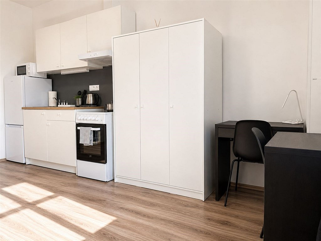 Pronájem bytu 1+1 24 m² — photo 4