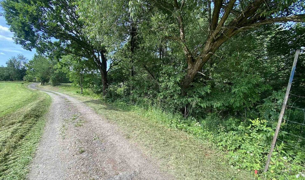 Prodej stavebního pozemku 974 m², Nové Hrady – náhled fotky 2
