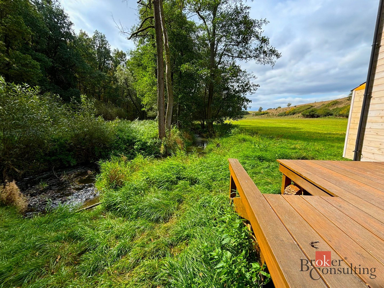 Prodej louky 1 277 m² – fotografie 2