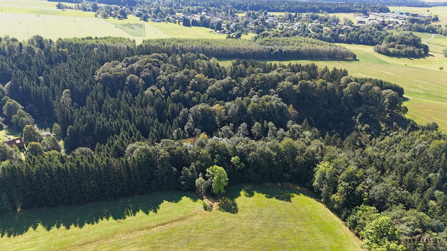 Prodej lesa 9 005 m² – fotografie 4