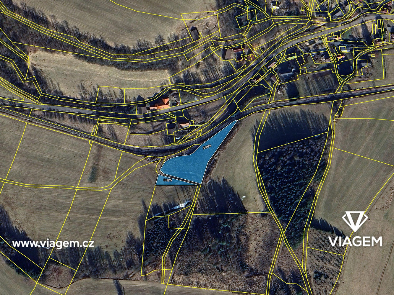 Prodej lesa 4 641 m² – fotografie 4