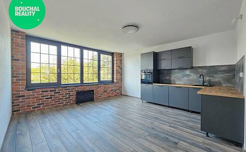 Pronájem bytu 2+kk 60 m², náměstí T. G. Masaryka, Plzeň - Jižní Předměstí