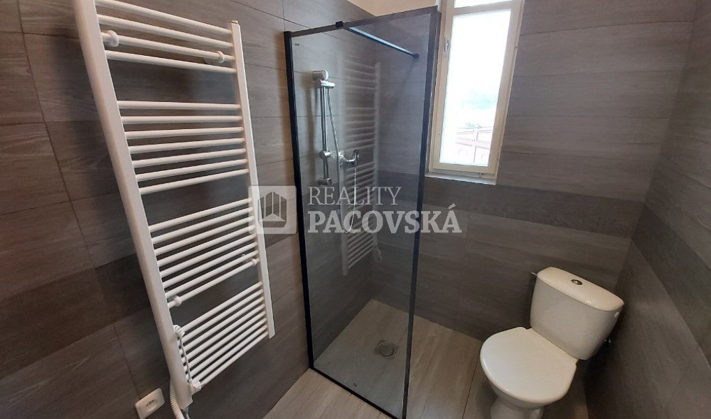 Pronájem bytu 1+kk 25 m², Ústí nad Labem – náhled fotky 6