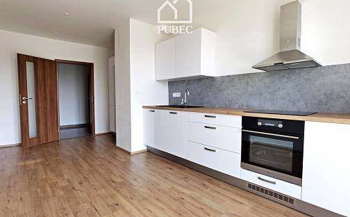 Pronájem bytu 1+1 44 m², Poděbradova, Plzeň - Jižní Předměstí