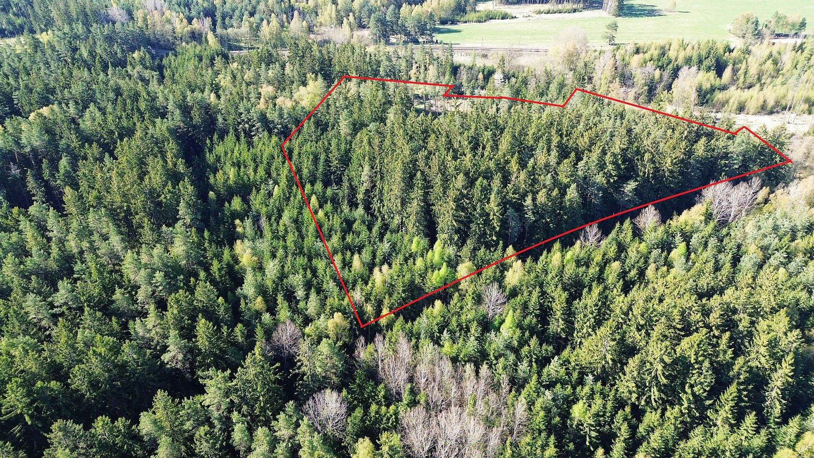 Prodej lesa 32 111 m²