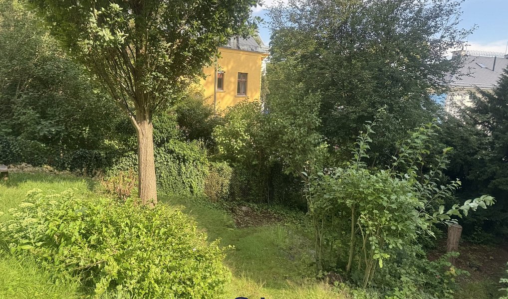 Pronájem bytu 1+kk 20 m², Liberec – náhled fotky 10