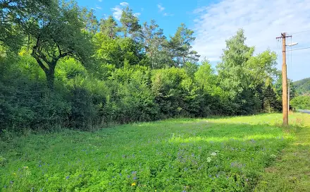 Prodej louky 3 885 m², Sýkořice, okres Rakovník