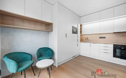 Pronájem bytu 1+kk 24 m², Bratislavská, Brno - Zábrdovice