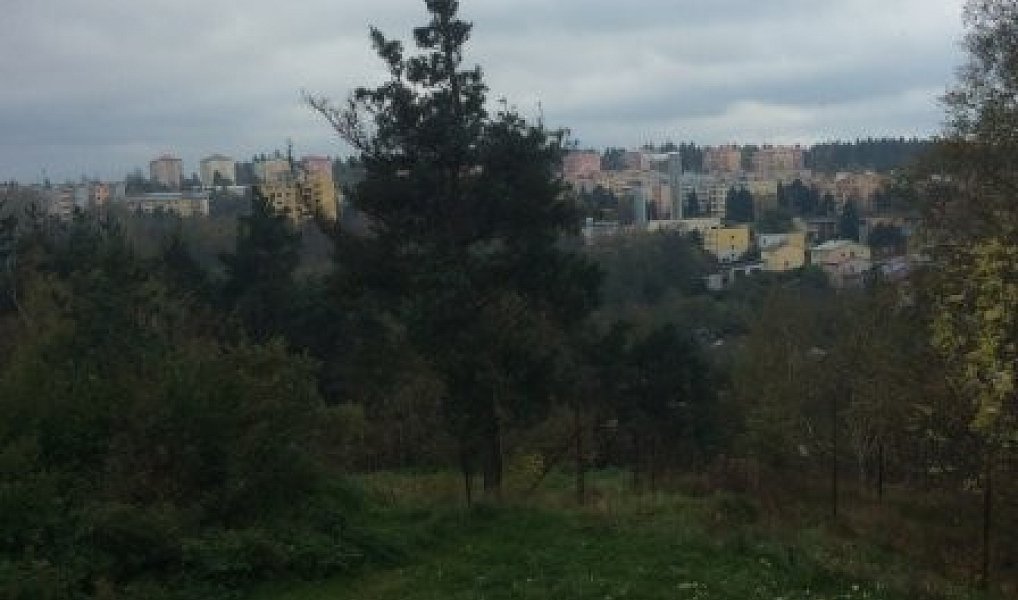 Prodej domu 300 m², Jihlava – náhled fotky 22