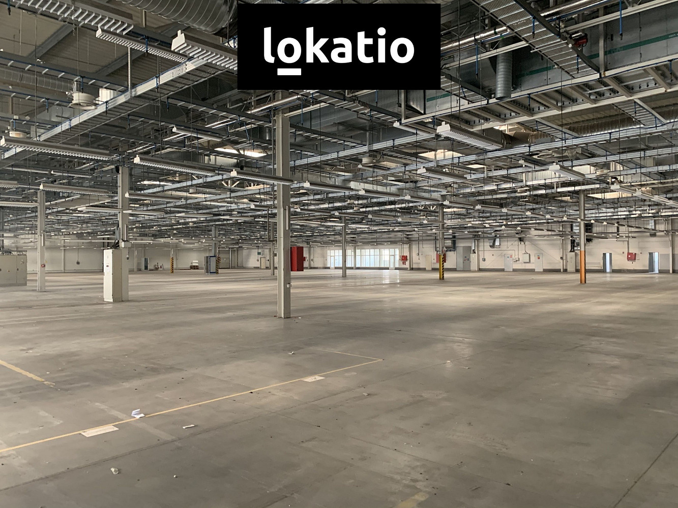 Pronájem skladovacích prostor 5 000 m² — photo 3