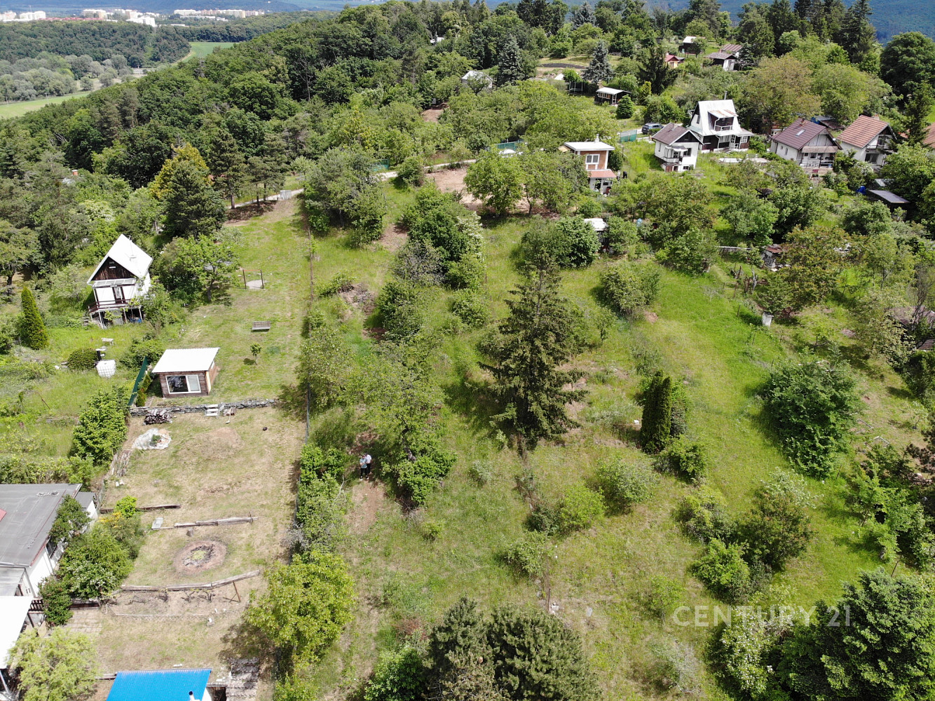 Prodej zahrady 1 589 m² – fotografie 3