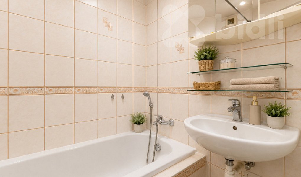 Prodej domu 810 m² s pozemkem 1 349 m², Holešov – náhled fotky 23