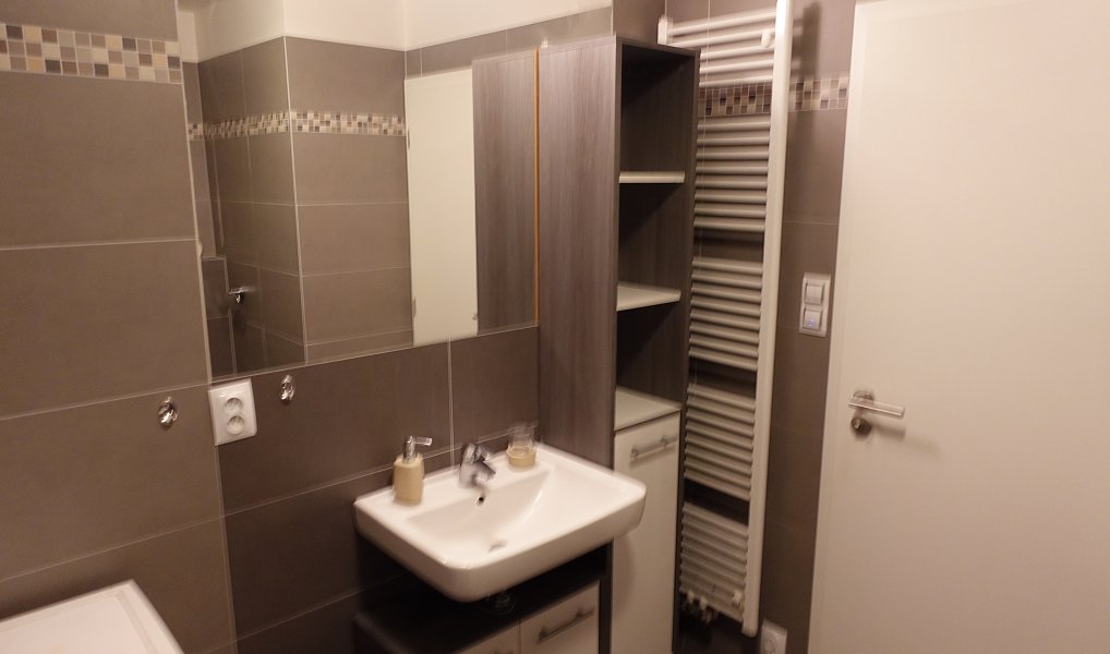 Pronájem bytu 1+kk 45 m², Brno – náhled fotky 7