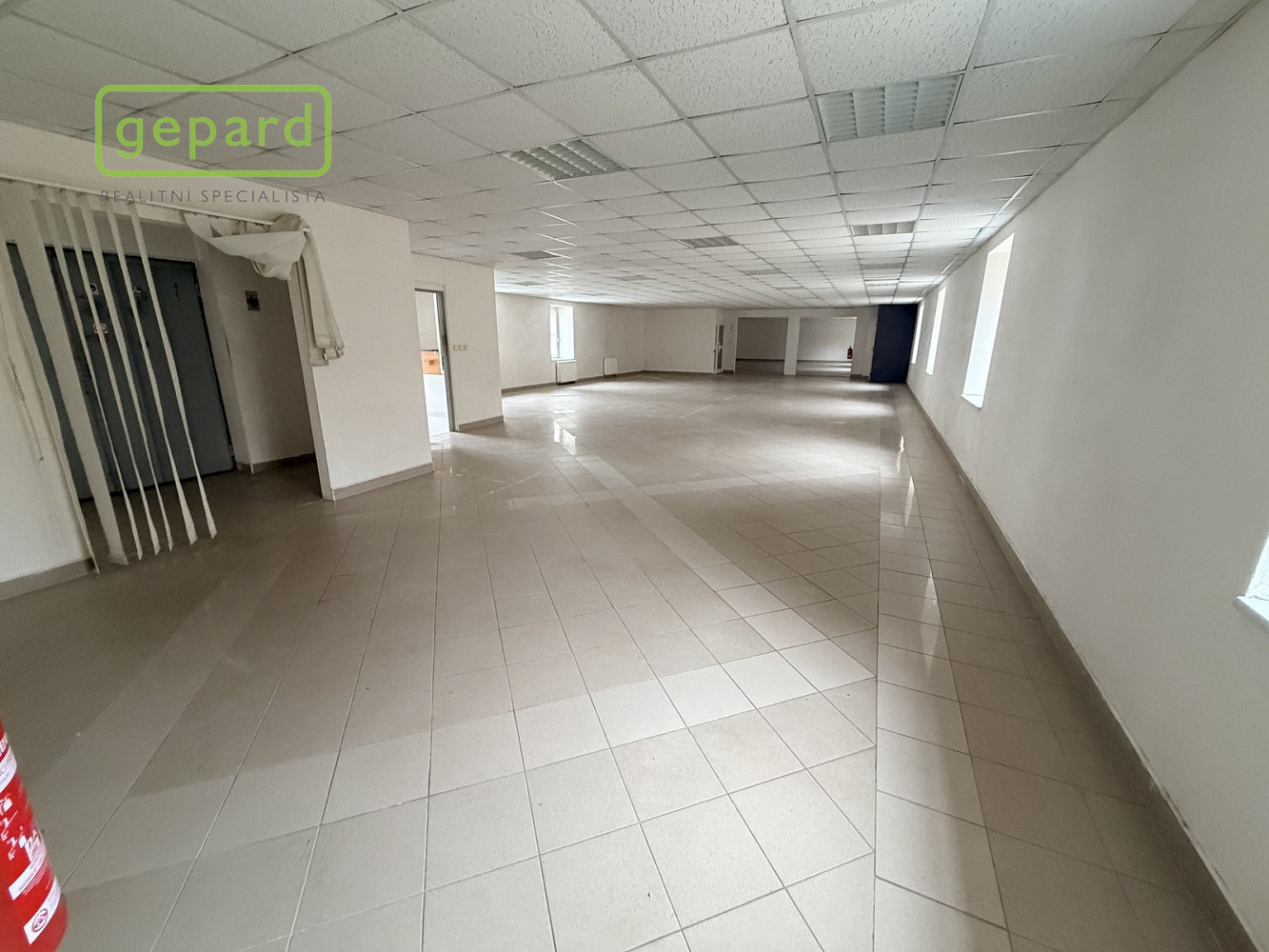 Pronájem obchodních prostor 305 m²