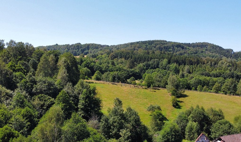 Prodej stavebního pozemku 4 589 m², Olešnice v Orlických horách – náhled fotky 2