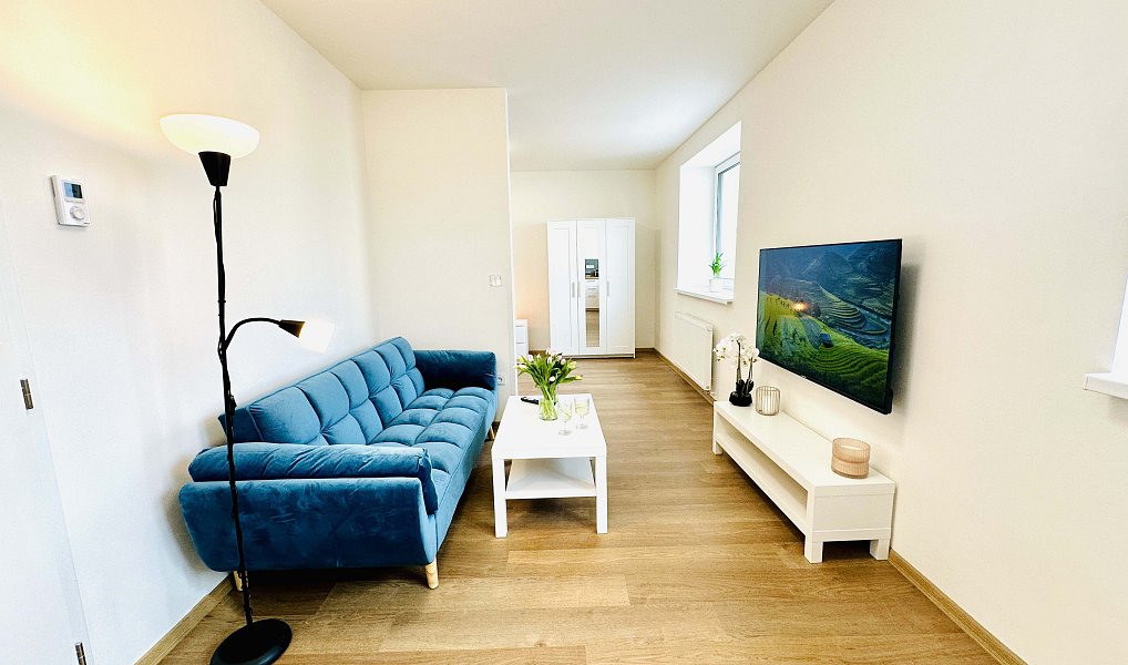 Pronájem bytu 1+kk 50 m², Jihlava – náhled fotky 3