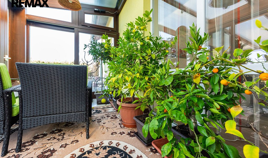 Prodej domu 209 m² s pozemkem 1 446 m², Bedihošť – náhled fotky 30