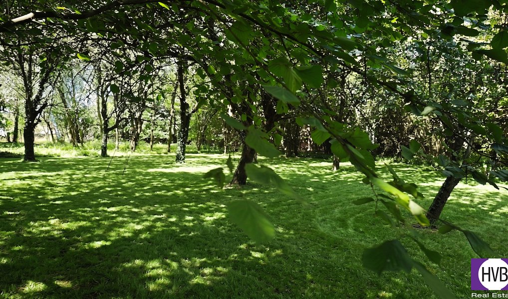 Prodej domu 105 m² s pozemkem 3 600 m², Suchdol – náhled fotky 4