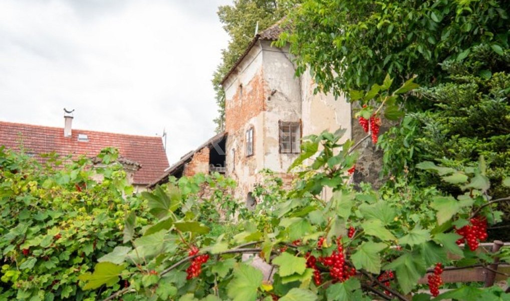 Prodej domu 1 144 m² s pozemkem 1 535 m², Bechyně – náhled fotky 26