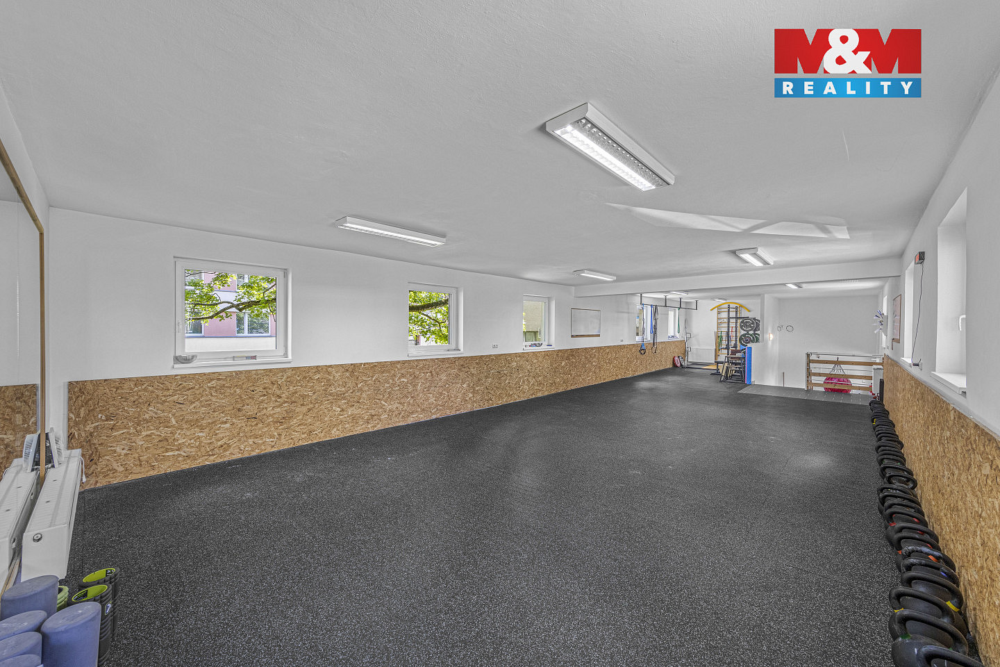 Prodej obchodních prostor 195 m² — photo 5