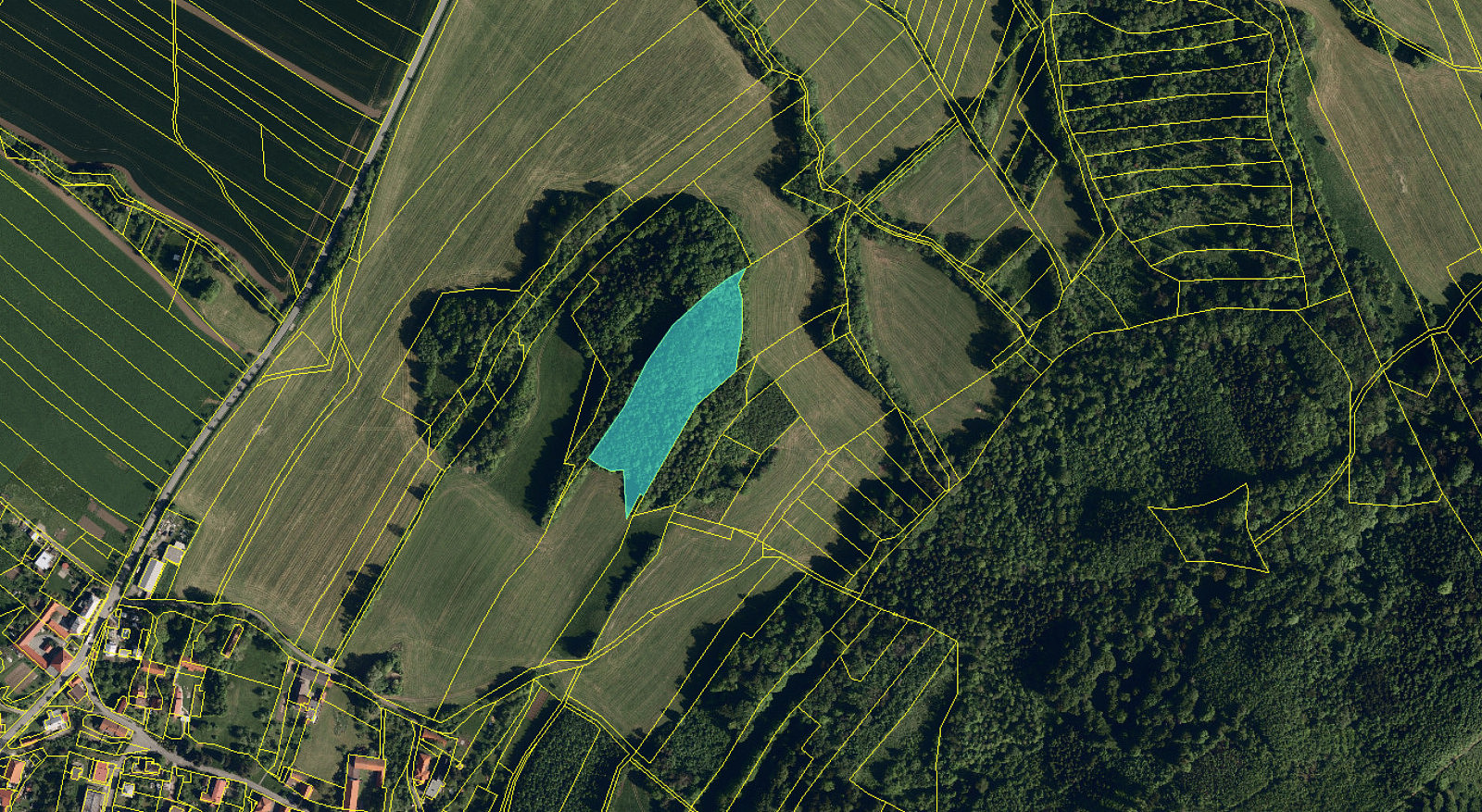 Prodej lesa 12 582 m² – fotografie 3