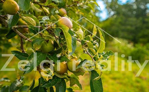 Prodej pozemku 3 501 m², Svatobořice-Mistřín - Mistřín, okres Hodonín