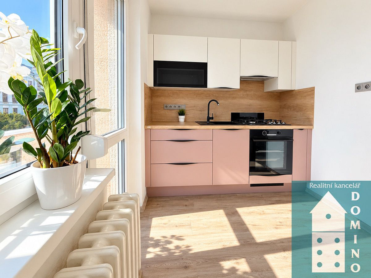 Pronájem bytu 2+1 44 m² – fotografie 4
