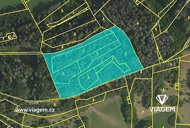 Prodej lesa 3 262 m² – fotografie 3