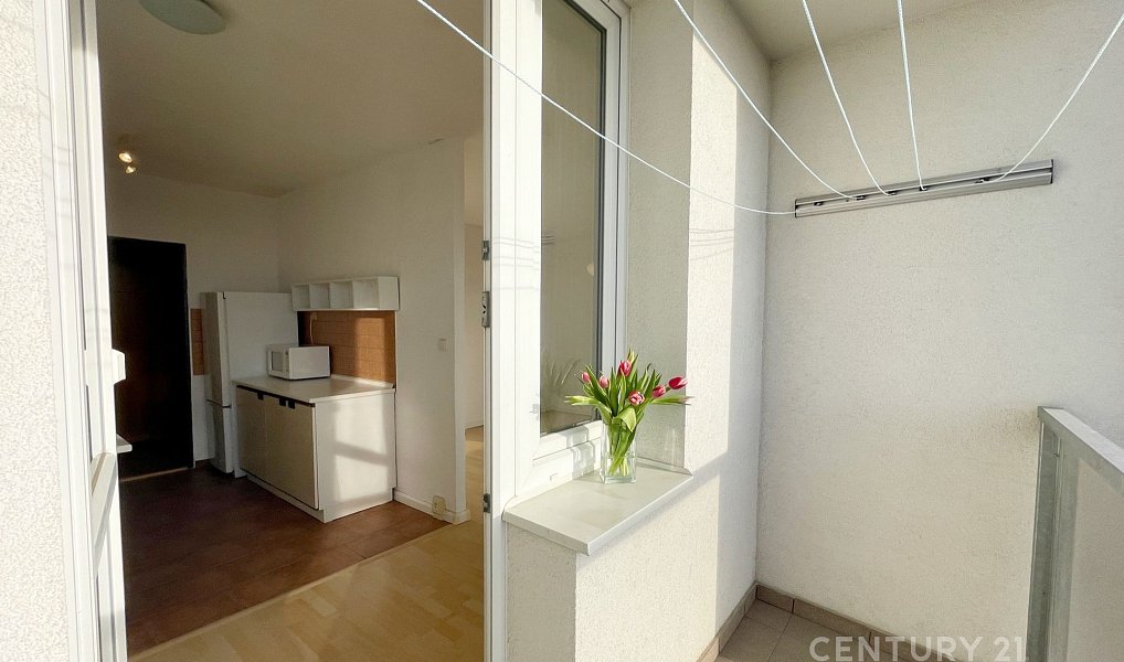 Pronájem bytu 1+1 41 m², Praha – náhled fotky 4