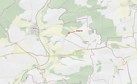 Dražba lesa 222 m², Milavče