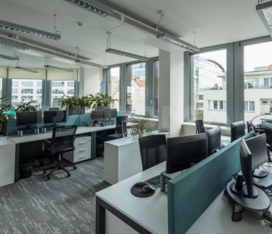 Pronájem kanceláře 537 m² – fotografie 4