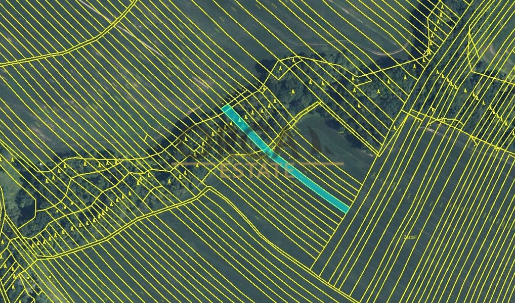Prodej pole 6 356 m², Mistřice – náhled fotky 3