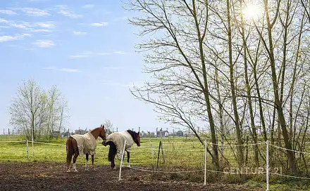 Prodej stavebního pozemku 1 707 m², Trnová, okres Praha-západ